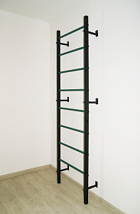 Шведская стенка Trainer  Home  ( антик-зеленый  )